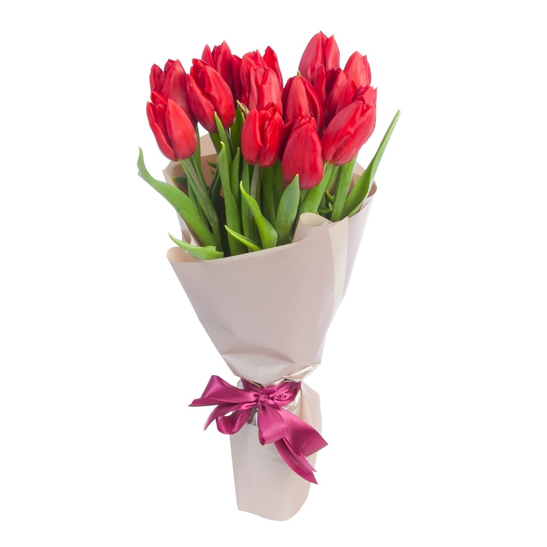 Online Red Color Tulips Bouquet in Manila | Buy 15 Red Color Tulips in a  Bouquet Manila City Philippines