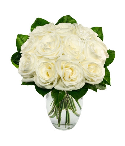 One Dozen White Roses Send to Manila Philippines